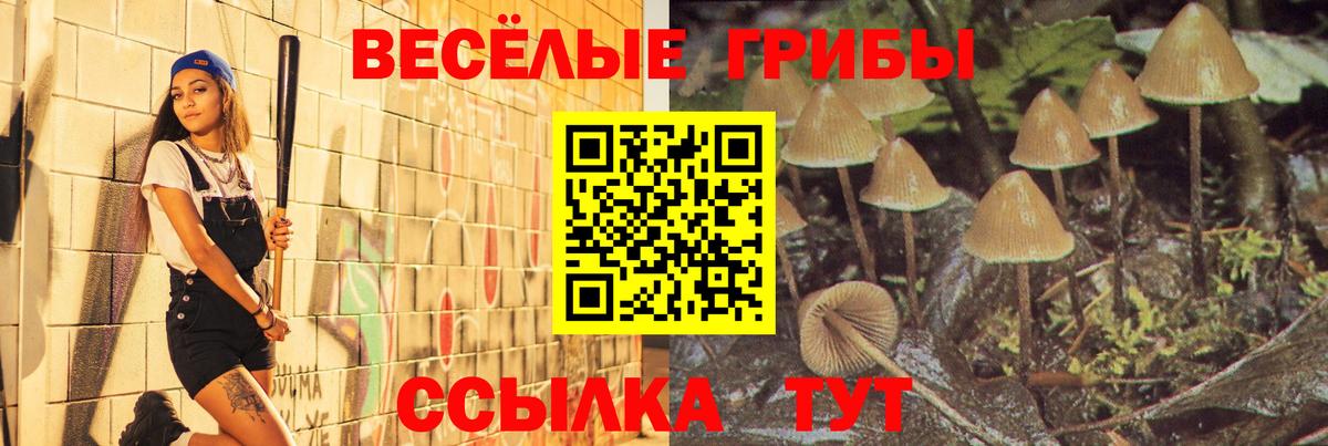 Галлюциногенные грибы Psilocybine cubensis Таганрог